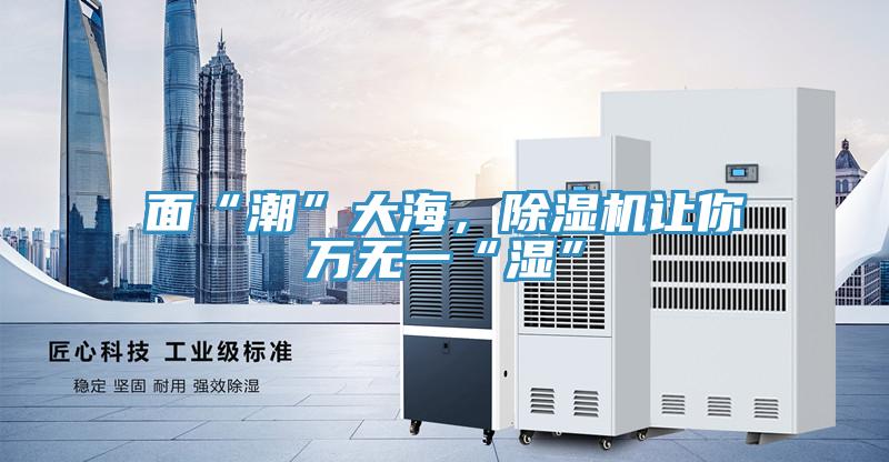 面“潮”大海，除濕機(jī)讓你萬(wàn)無(wú)一“濕”