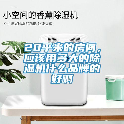 20平米的房間，應(yīng)該用多大的除濕機(jī)什么品牌的好啊