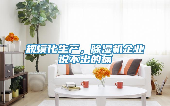 規(guī)模化生產(chǎn)，除濕機(jī)企業(yè)說不出的痛
