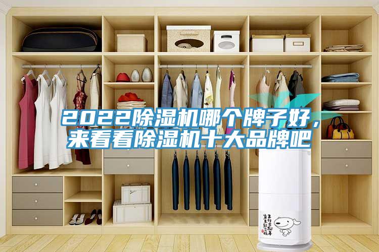 2022除濕機(jī)哪個(gè)牌子好，來(lái)看看除濕機(jī)十大品牌吧