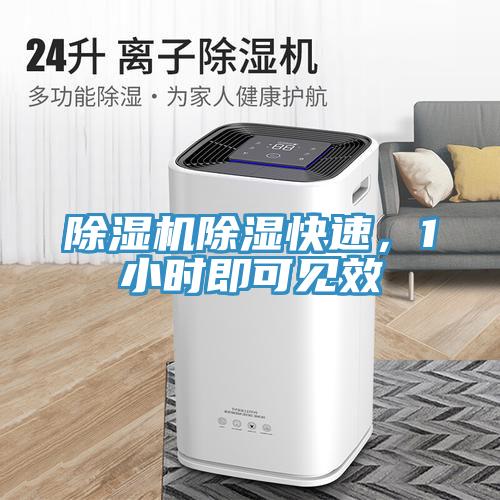 除濕機(jī)除濕快速，1小時(shí)即可見效