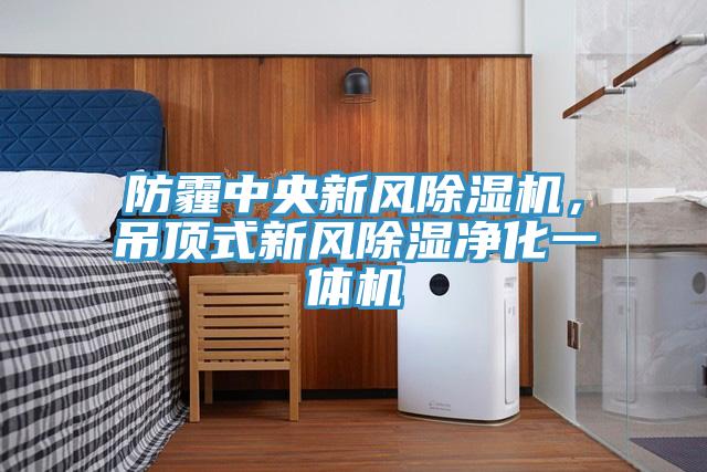 防霾中央新風(fēng)除濕機(jī)，吊頂式新風(fēng)除濕凈化一體機(jī)