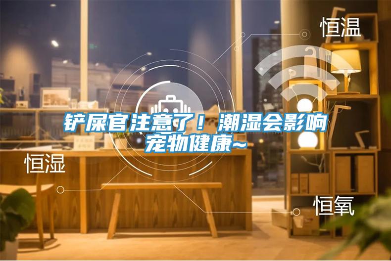 鏟屎官注意了！潮濕會(huì)影響寵物健康~