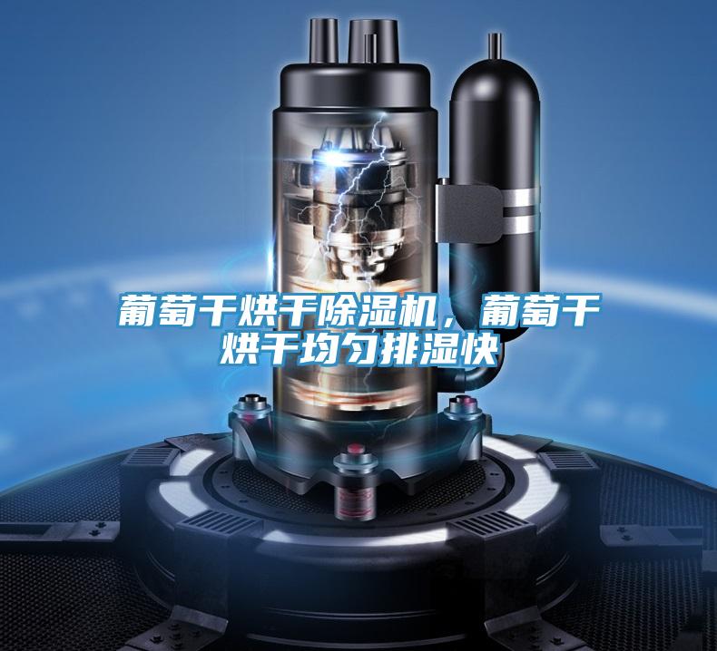 葡萄干烘干除濕機(jī)，葡萄干烘干均勻排濕快