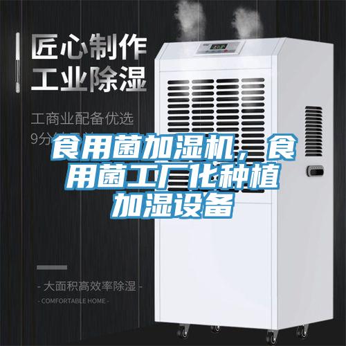 食用菌加濕機，食用菌工廠化種植加濕設(shè)備