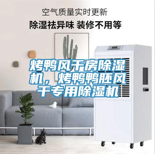 烤鴨風干房除濕機，烤鴨鴨胚風干專用除濕機