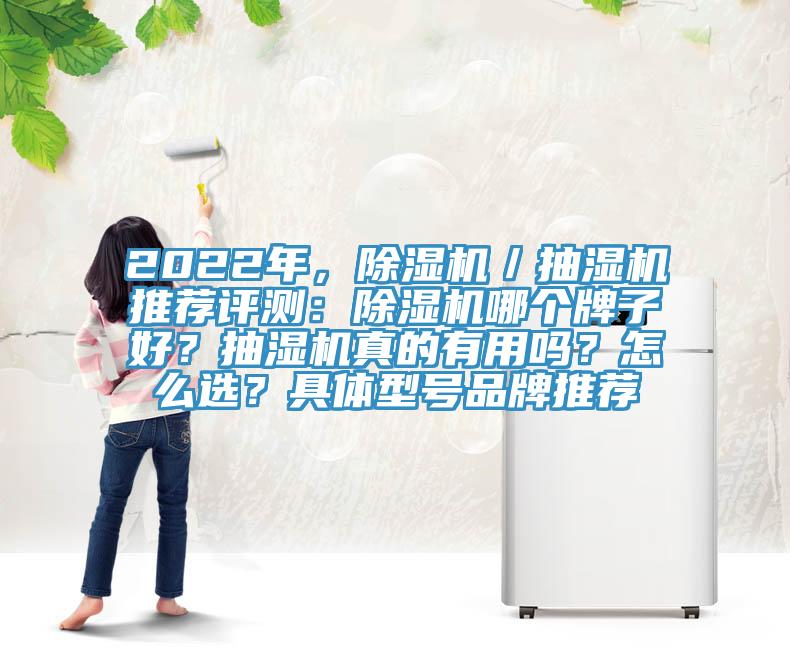 2022年，除濕機(jī)／抽濕機(jī)推薦評(píng)測(cè)：除濕機(jī)哪個(gè)牌子好？抽濕機(jī)真的有用嗎？怎么選？具體型號(hào)品牌推薦
