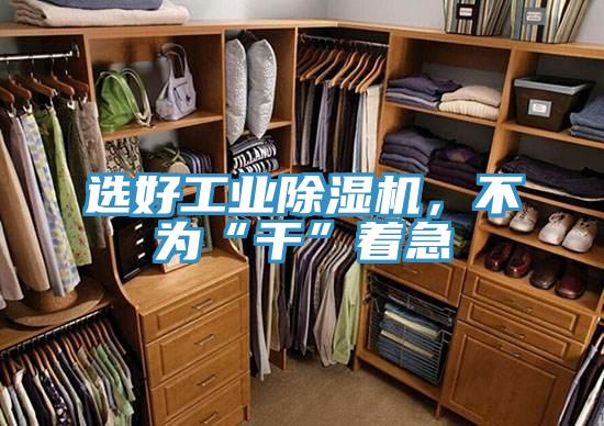 選好工業(yè)除濕機(jī)，不為“干”著急