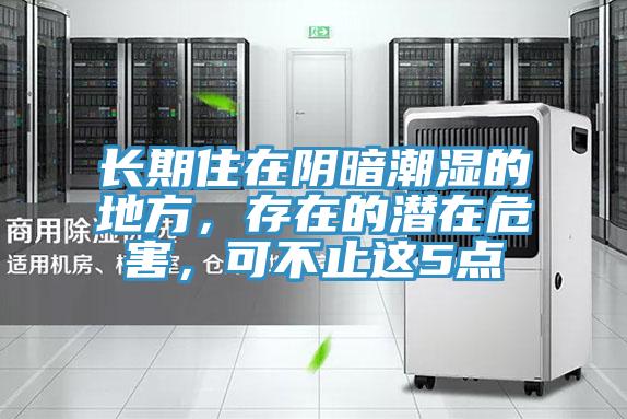 長期住在陰暗潮濕的地方，存在的潛在危害，可不止這5點(diǎn)