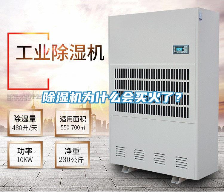 除濕機(jī)為什么會(huì)買火了？