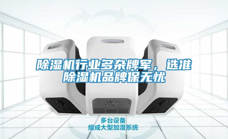 除濕機行業(yè)多雜牌軍，選準(zhǔn)除濕機品牌保無憂