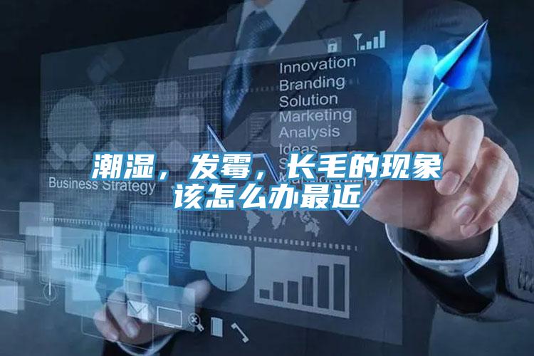 潮濕，發(fā)霉，長毛的現(xiàn)象該怎么辦最近
