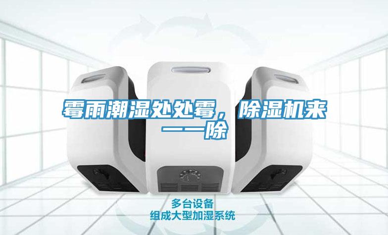 霉雨潮濕處處霉，除濕機來一一除
