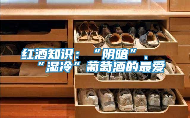 紅酒知識(shí)：“陰暗”、“濕冷”葡萄酒的最愛(ài)