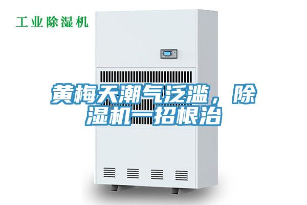 黃梅天潮氣泛濫，除濕機(jī)一招根治