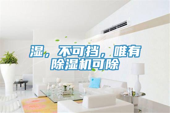 濕，不可擋，唯有除濕機(jī)可除