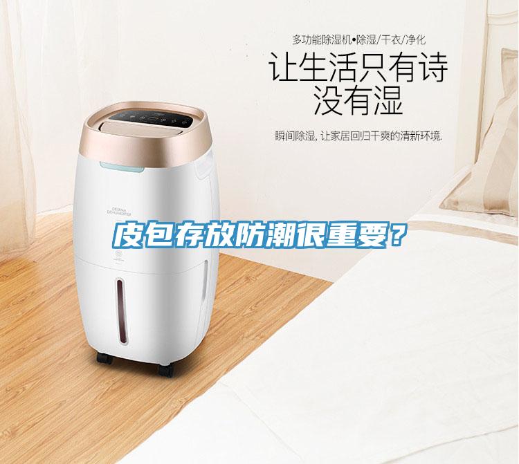 皮包存放防潮很重要？