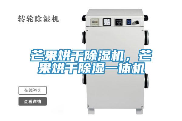 芒果烘干除濕機(jī)，芒果烘干除濕一體機(jī)