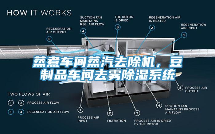 蒸煮車間蒸汽去除機，豆制品車間去霧除濕系統