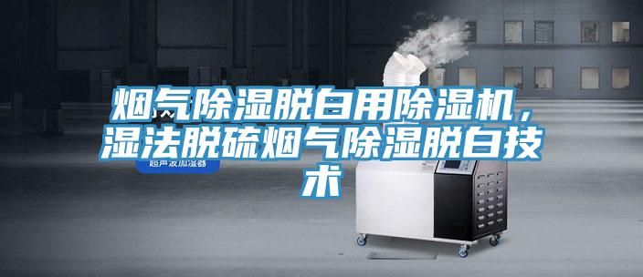 煙氣除濕脫白用除濕機(jī)，濕法脫硫煙氣除濕脫白技術(shù)