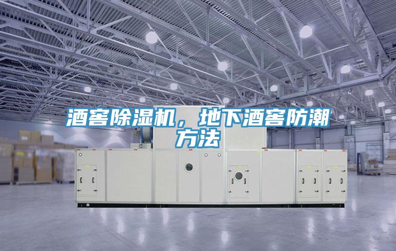 酒窖除濕機(jī)，地下酒窖防潮方法