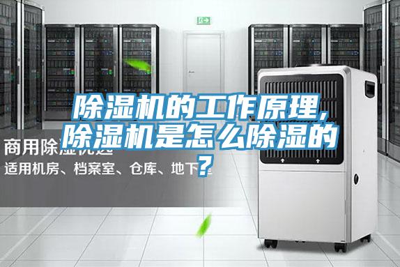 除濕機的工作原理,除濕機是怎么除濕的？