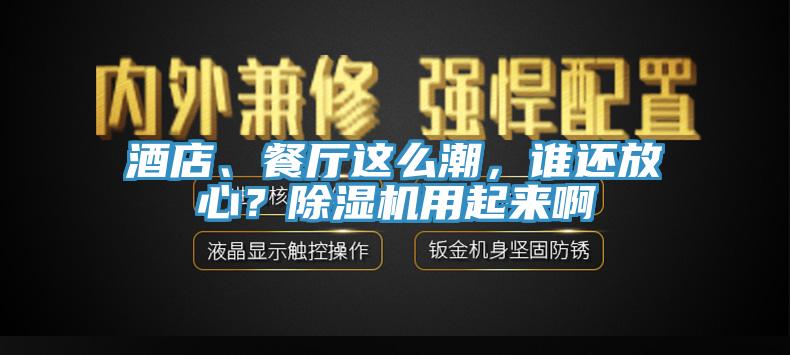 酒店、餐廳這么潮，誰還放心？除濕機(jī)用起來啊