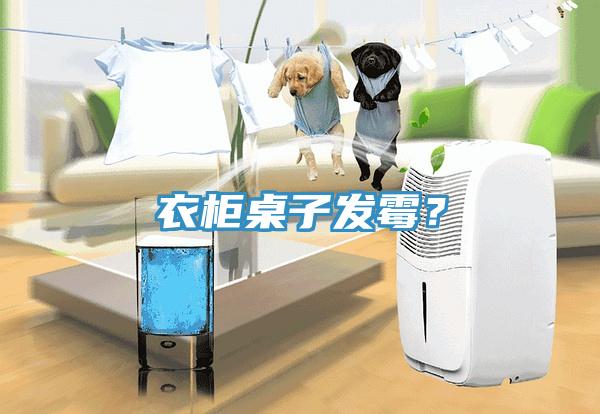 衣柜桌子發(fā)霉？