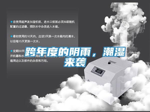 跨年度的陰雨，潮濕來襲