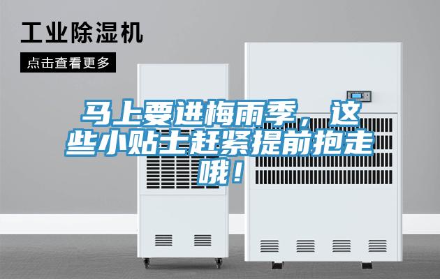 馬上要進(jìn)梅雨季，這些小貼士趕緊提前抱走哦！