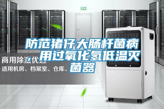 防范豬仔大腸桿菌病，用過氧化氫低溫滅菌器