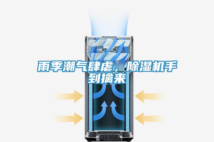 雨季潮氣肆虐，除濕機手到擒來