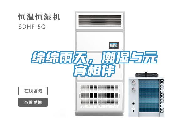綿綿雨天，潮濕與元宵相伴
