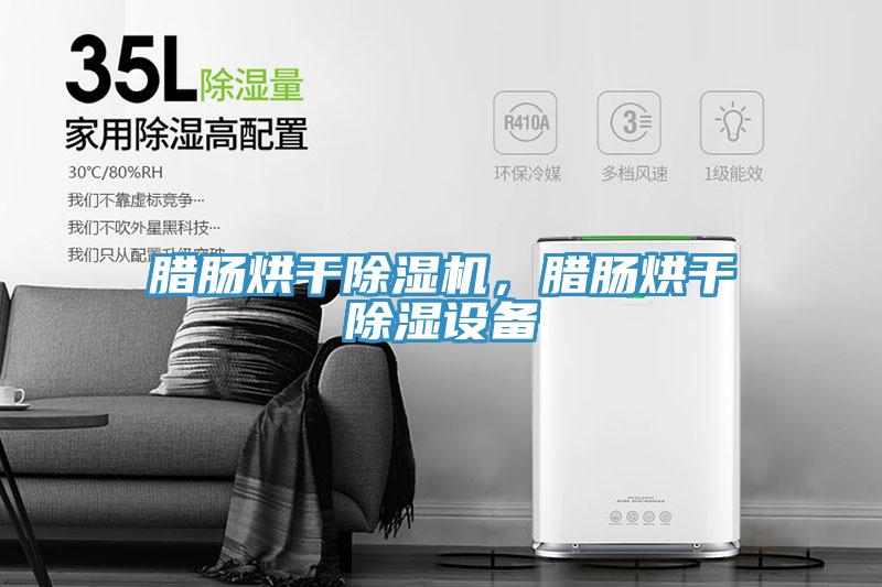 臘腸烘干除濕機，臘腸烘干除濕設備