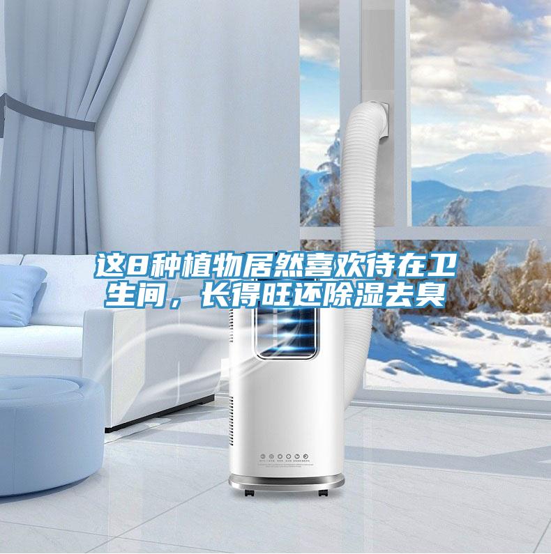 這8種植物居然喜歡待在衛(wèi)生間，長得旺還除濕去臭