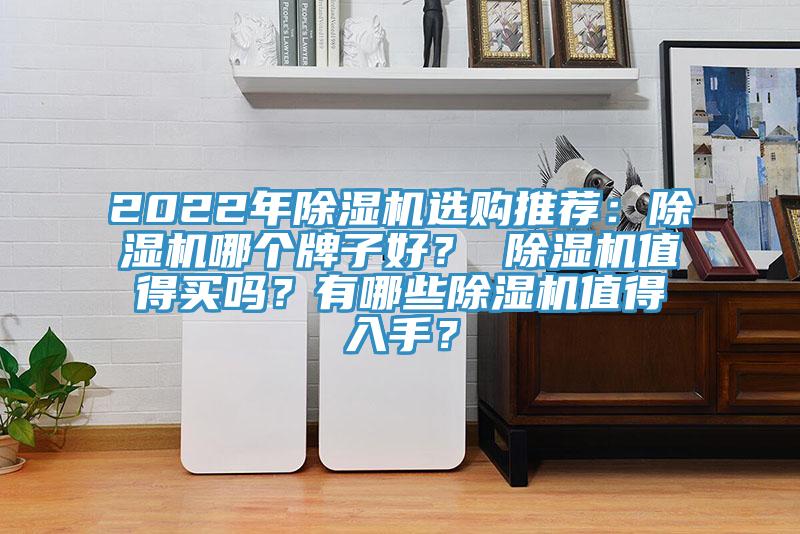 2022年除濕機(jī)選購(gòu)?fù)扑]：除濕機(jī)哪個(gè)牌子好？ 除濕機(jī)值得買嗎？有哪些除濕機(jī)值得入手？