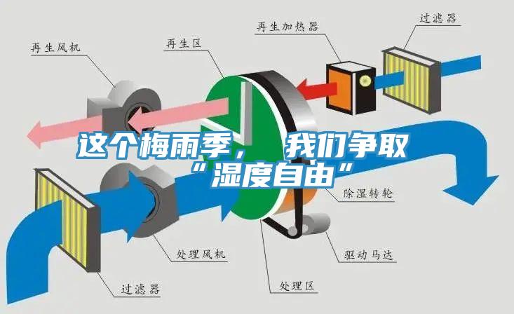 這個(gè)梅雨季， 我們爭取“濕度自由”