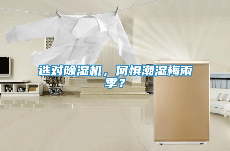 選對(duì)除濕機(jī)，何懼潮濕梅雨季？