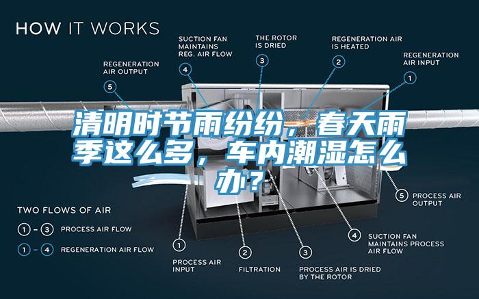 清明時節(jié)雨紛紛，春天雨季這么多，車內(nèi)潮濕怎么辦？