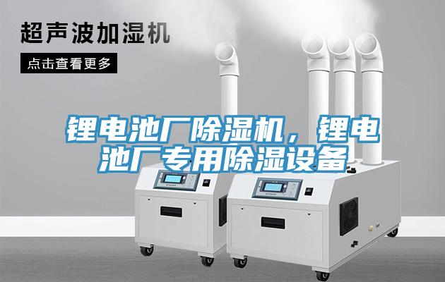 鋰電池廠除濕機(jī)，鋰電池廠專用除濕設(shè)備