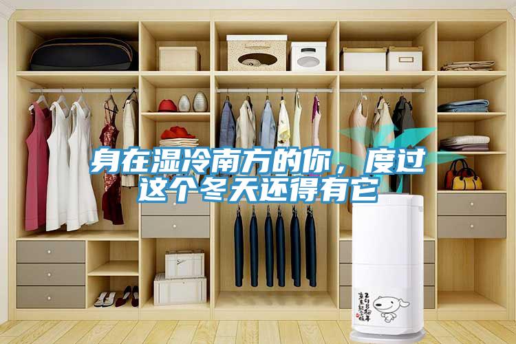 身在濕冷南方的你，度過這個冬天還得有它