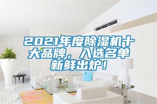 2021年度除濕機(jī)十大品牌，入選名單新鮮出爐！