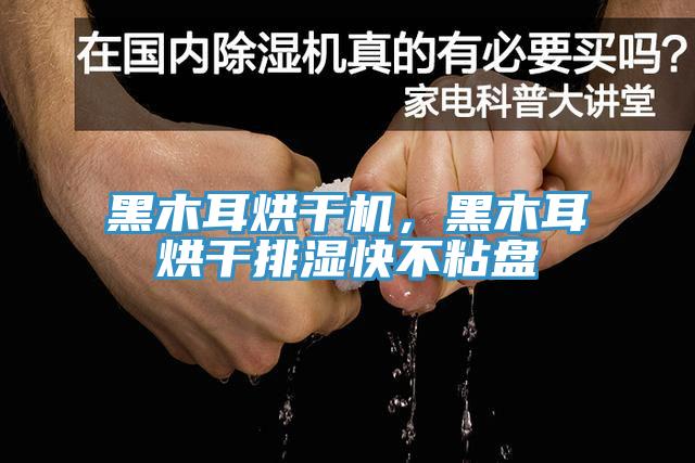黑木耳烘干機(jī)，黑木耳烘干排濕快不粘盤