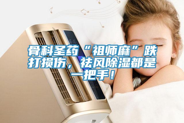 骨科圣藥“祖師麻”跌打損傷，祛風(fēng)除濕都是一把手！