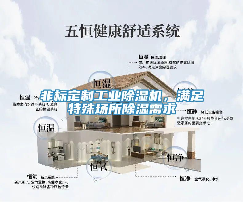非標(biāo)定制工業(yè)除濕機，滿足特殊場所除濕需求