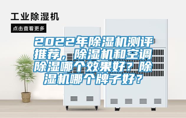 2022年除濕機(jī)測(cè)評(píng)推薦，除濕機(jī)和空調(diào)除濕哪個(gè)效果好？除濕機(jī)哪個(gè)牌子好？
