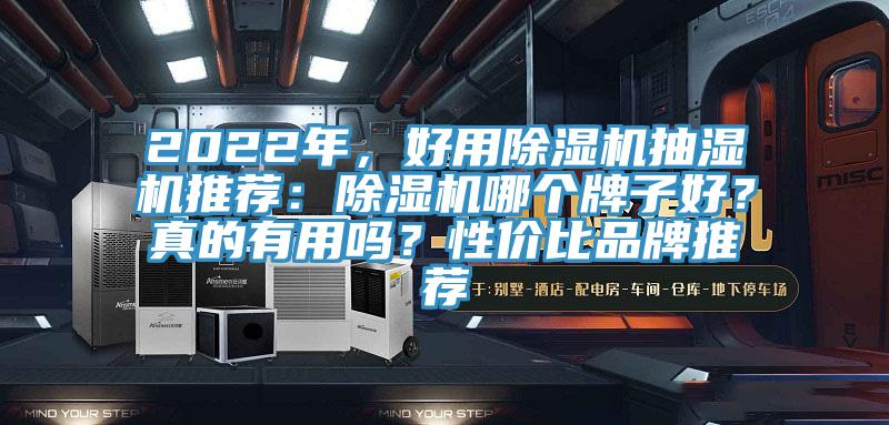 2022年，好用除濕機(jī)抽濕機(jī)推薦：除濕機(jī)哪個(gè)牌子好？真的有用嗎？性價(jià)比品牌推薦