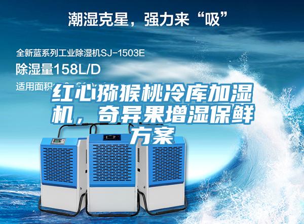 紅心獼猴桃冷庫加濕機，奇異果增濕保鮮方案