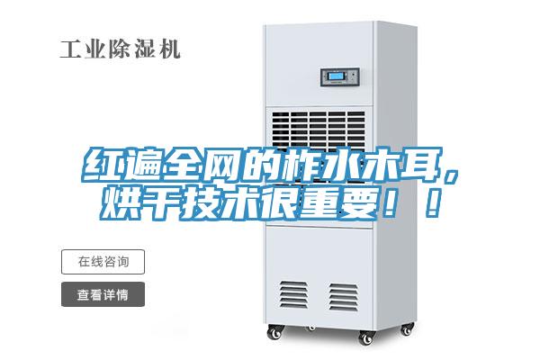 紅遍全網(wǎng)的柞水木耳，烘干技術(shù)很重要??！