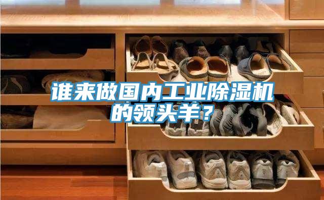 誰來做國內(nèi)工業(yè)除濕機的領(lǐng)頭羊？